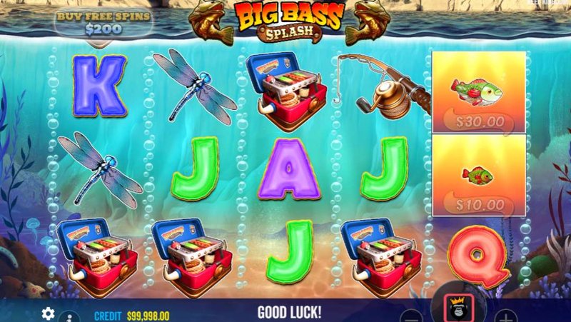 A look at big bass splash slot