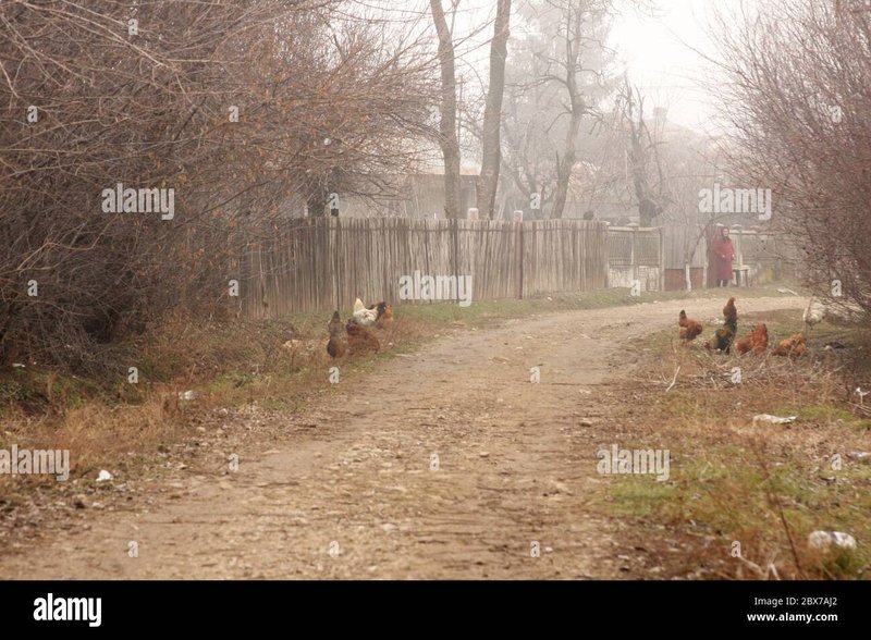 Descoperă Mysteriile Drumeției Pui de la Casino-ul Chicken Road din România - prezentare generală